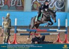 Лучшие работы 2017 года