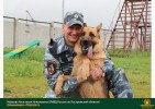 Лучшие работы 2017 года