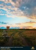Лучшие работы 2018 года