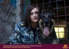 Лучшие работы 2018 года