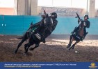 Лучшие работы 2018 года