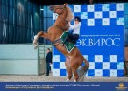 Лучшие работы 2018 года