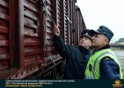Лучшие работы 2018 года