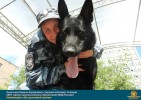 Лучшие работы 2018 года