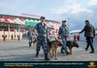 Лучшие работы 2018 года