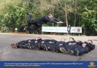 Лучшие работы 2018 года