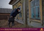 Лучшие работы 2018 года