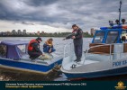 Лучшие работы 2018 года
