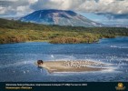Лучшие работы 2018 года