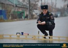 Лучшие работы 2018 года