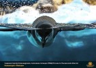 Лучшие работы 2018 года