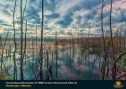 Лучшие работы 2018 года