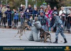 Лучшие работы 2018 года