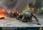 Лучшие работы 2018 года