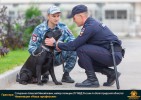 Лучшие работы 2019 года