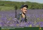 Лучшие работы 2019 года