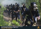 Лучшие работы 2019 года