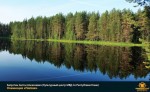 Лучшие работы 2019 года