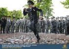 Лучшие работы 2019 года