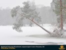 Лучшие работы 2019 года
