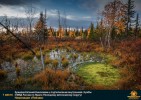 Лучшие работы 2019 года