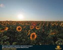 Лучшие работы 2019 года