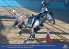 Лучшие работы 2019 года