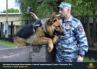 Лучшие работы 2019 года