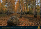 Лучшие работы 2019 года