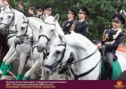 Лучшие работы 2019 года