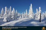 Лучшие работы 2019 года