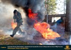 Лучшие работы 2019 года