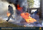 Лучшие работы 2019 года