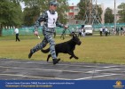 Лучшие работы 2019 года