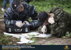 Лучшие работы 2019 года