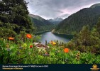 Лучшие работы 2019 года