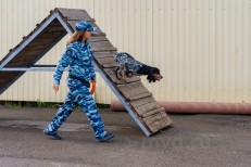 Тимиров В.В. - НП - 7