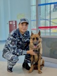 Верный напарник: дружба и служба