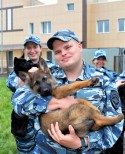 НШВ - 2.3 Горбиков Н.А.
