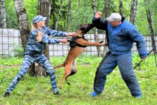 НП - 37 Горбиков Н.А.