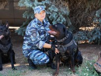 Зилфигарова А.А. -НП-  Когда с напарником  понимаешь с первого взгляда