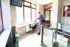 НП - 3. Козырева С.В.