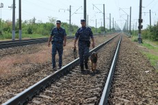 НП - 1 Нестеренко А.В.