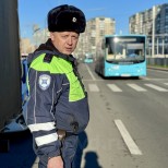 Сулаева ВД -НП-1 