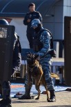 Сударикова М.В. - НП- 3