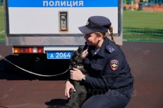 Сударикова М.В. - НШВ- 1