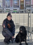 Маликова Е.А. -НП- 1 