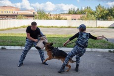 НП - 2 Белов А.Н.
