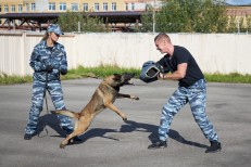 НП - 3 Белов А.Н.