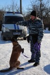 НП-1 Четайкина И.И. Мой четвероногий друг